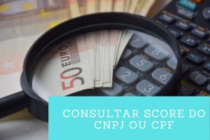 consultar score do CNPJ